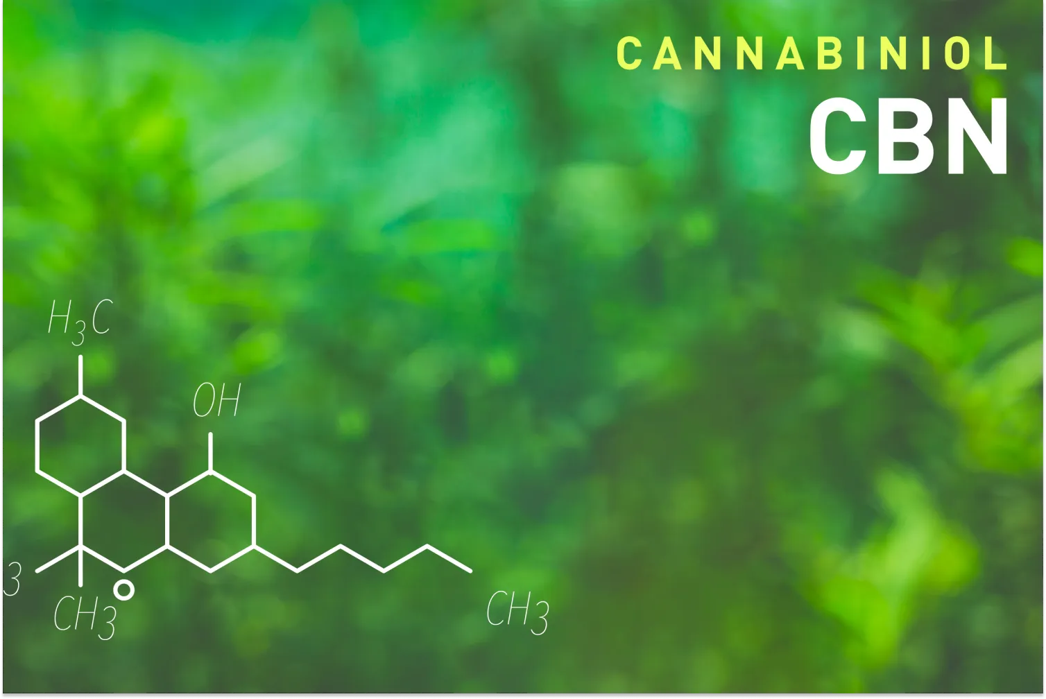 CBN Dosage for Most Situations Muscle MX