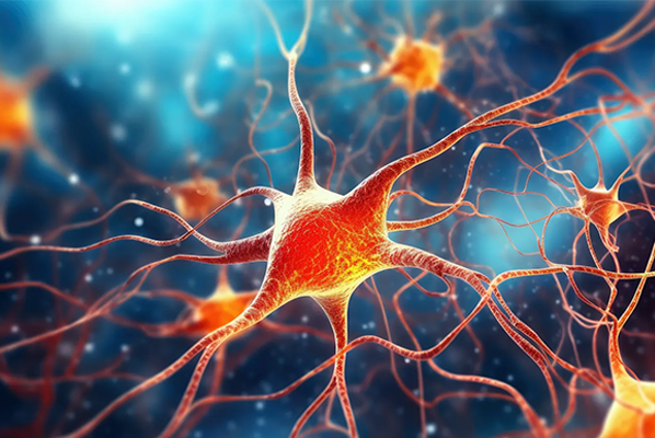 CBD & Serotonin: How They Affect Each Other