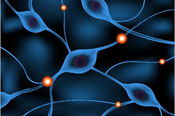 CBD Absorb Through the Skin