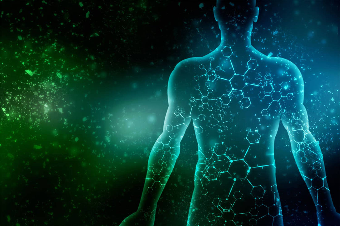 How Long Does CBD Stay in Your System?