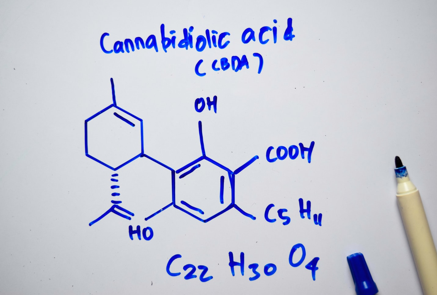 CBDA vs. CBD: What Are the Differences?