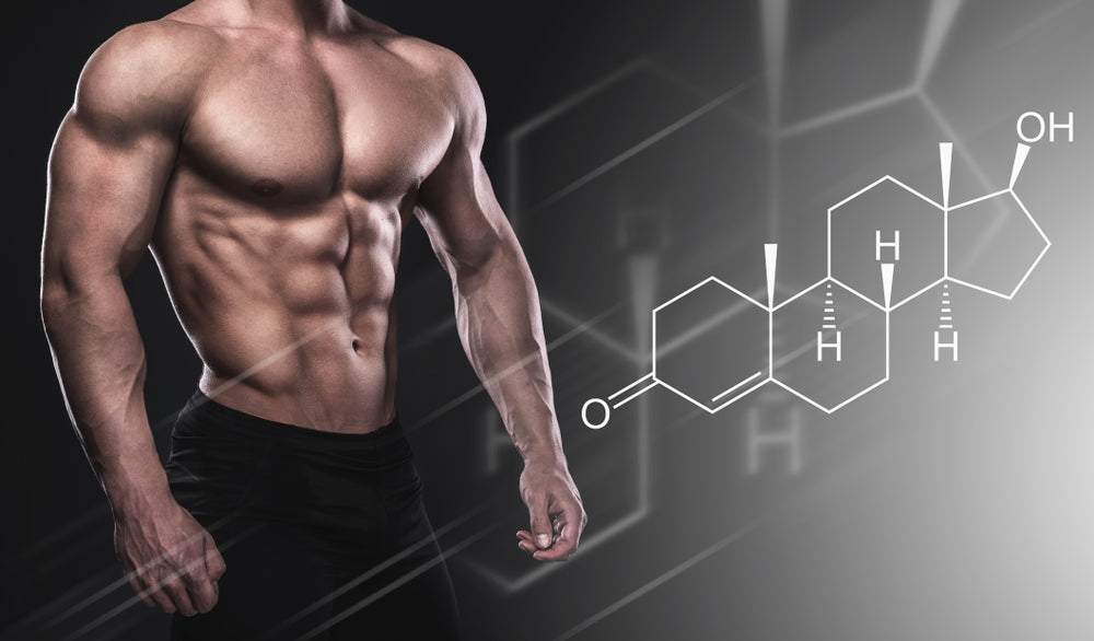 How Does CBD Affect Testosterone