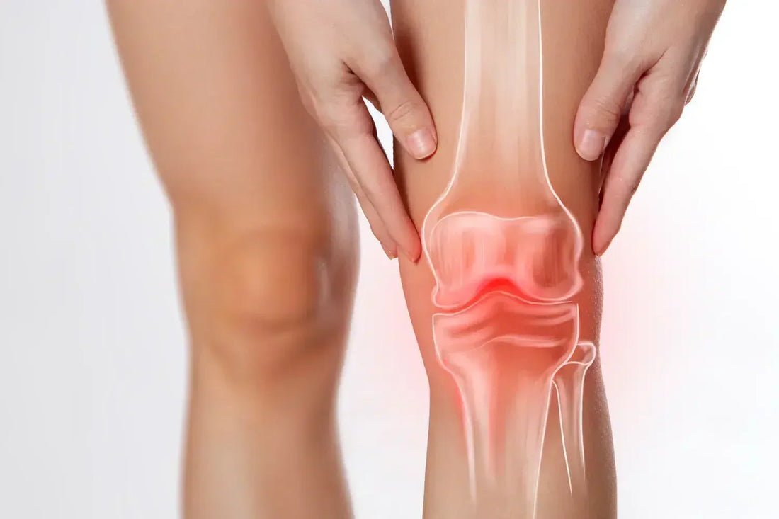 sciatica knee pain