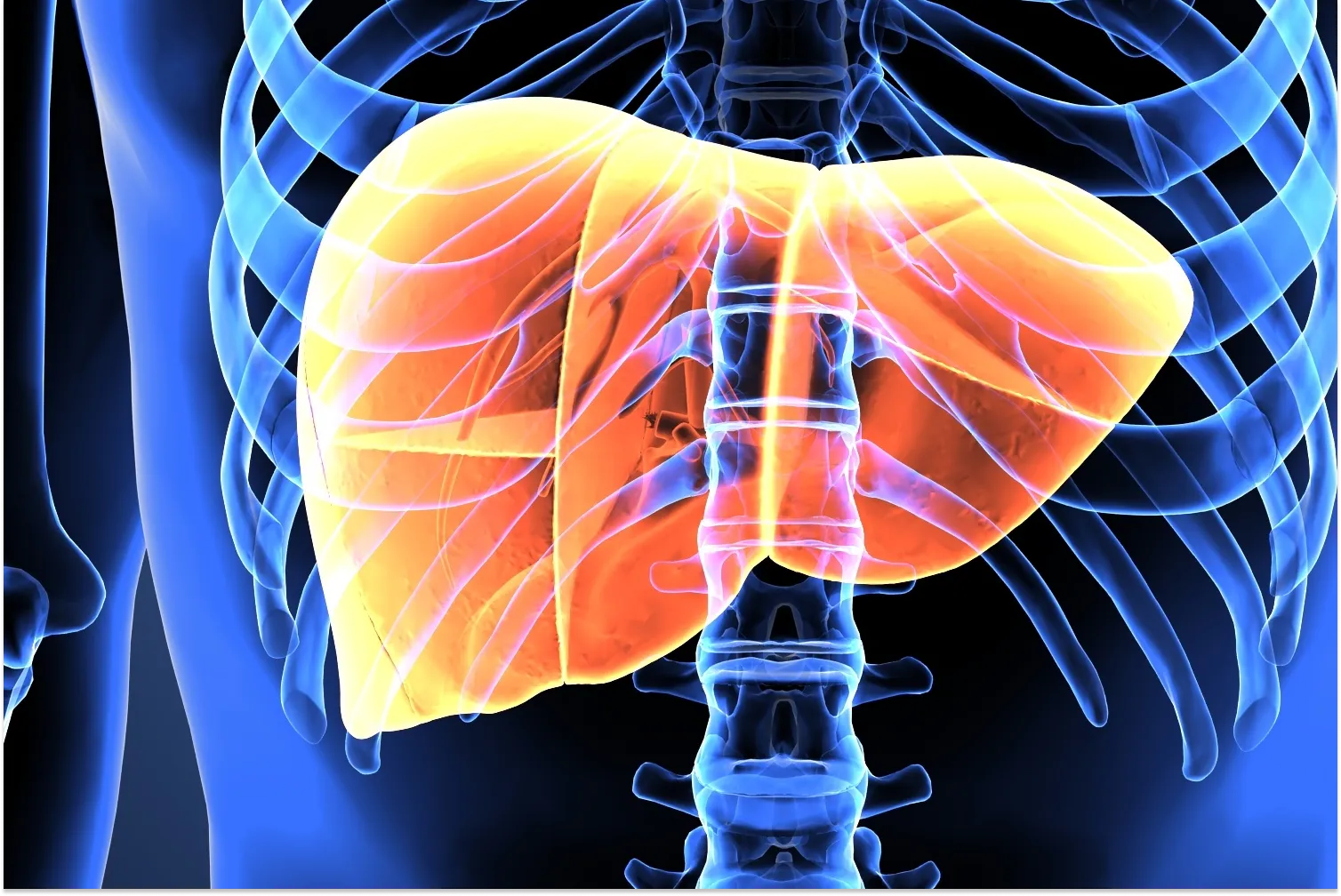 Are There Side Effects of CBD Oil on the liver?