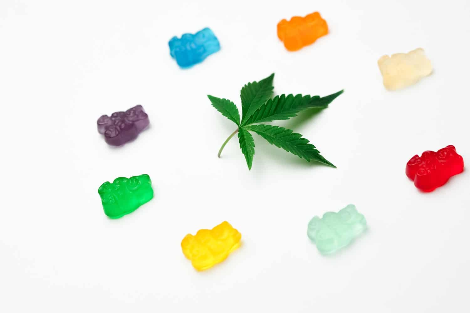 Hemp Gummies vs. Cbd Gummies: What's the Difference?