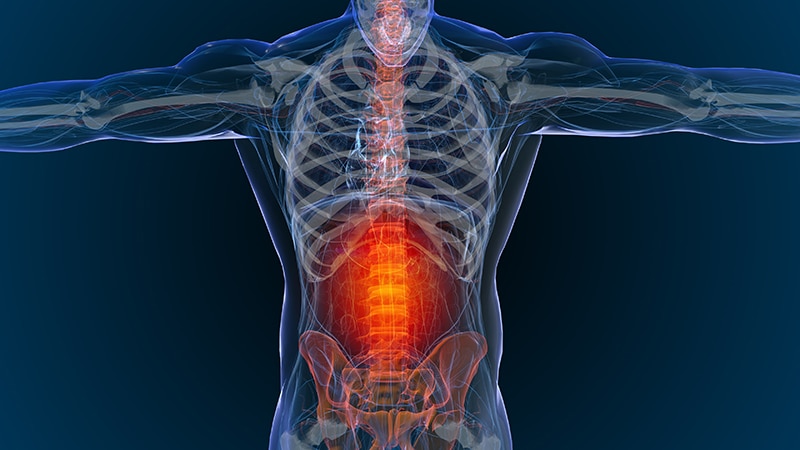cbd and back pain science
